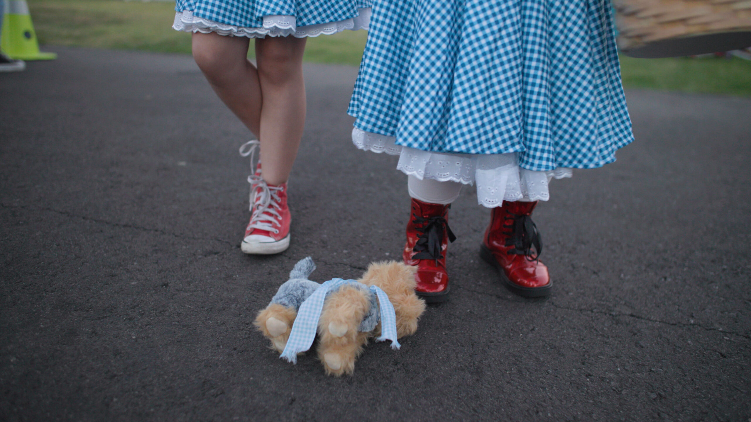 IT'S DOROTHY! Austin Harris desperado 2026